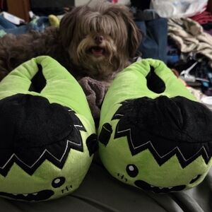 Frankenstein Slippers